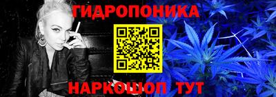 прущие грибы Бийск