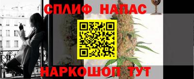 прущие грибы Бийск