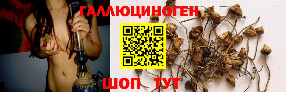 Псилоцибиновые грибы мухоморы  Псилоцибиновые грибы MAGIC MUSHROOMS  Дедовск  Вход с VPN 